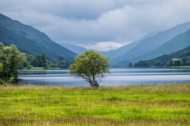 Looking towards Loch Voil from Balquhidder Iconic Scottish scenery looking towards Loch Voil from Balquhidder with hills and glens beyond. loch voil stock pictures, royalty-free photos & images