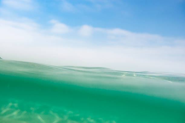 istock Underwater, above water Pedn Vounder Beach, Cornwall 544793770