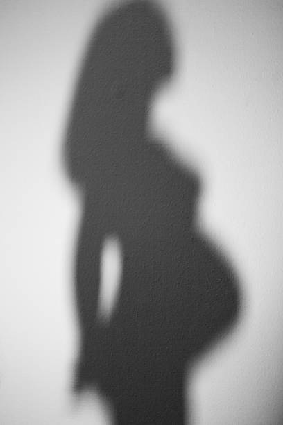 istock pregnant woman silhouette on white 544794692