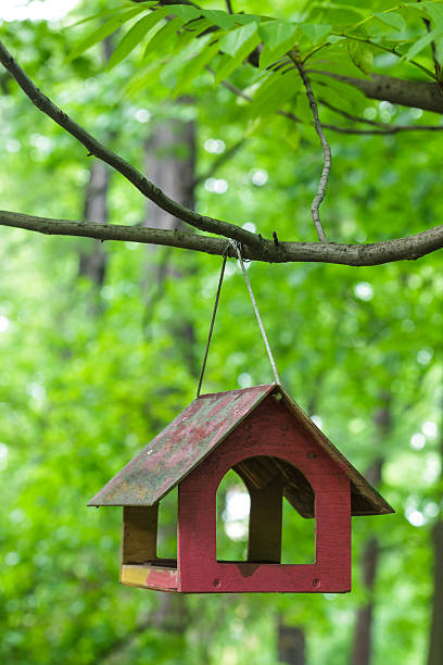 istock feeder for birds on a background of foliage 544795542