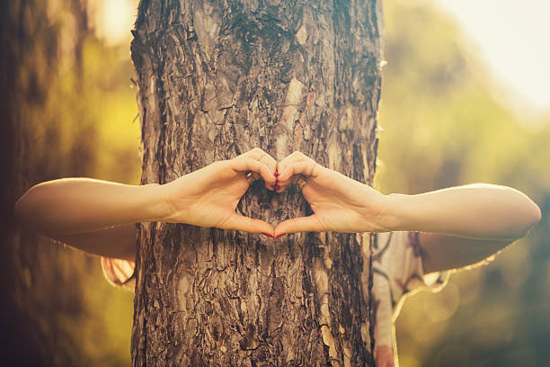 istock Girl sharing her heart with the tree. 544797692