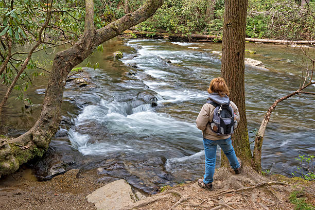 hiking along abrams creek in cades cove - cades imagens e fotografias de stock