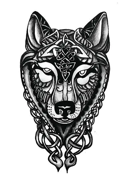 Vector illustration of Hand drawn Celtic Wolf head for tattoo