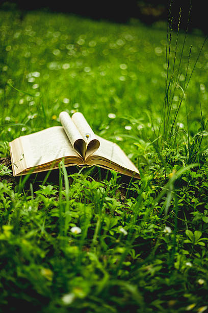 istock Close up heart shape from paper book on grass field 544802214
