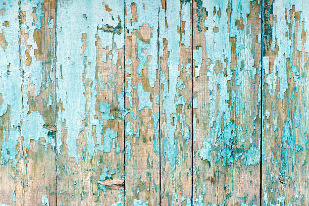 istock The old fence boards with chink. Painted light blue paint. 544804198