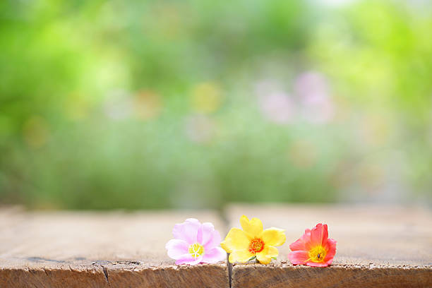 istock Flowers on wooden table 544806622