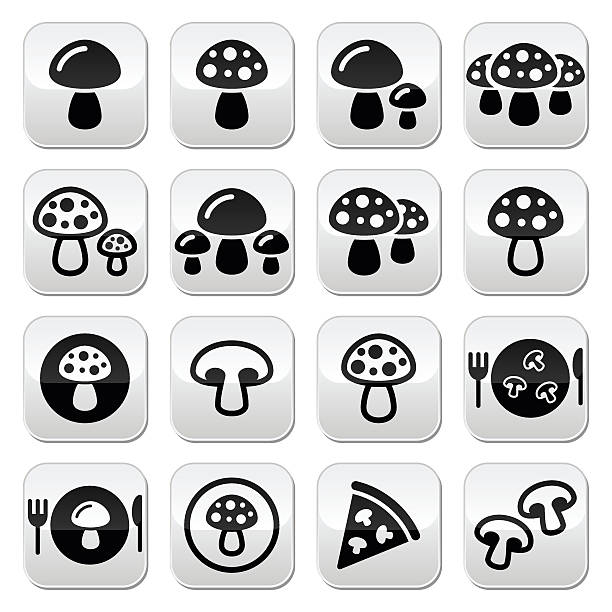 ilustrações de stock, clip art, desenhos animados e ícones de vetor conjunto de botões de cogumelo - mushroom stem cap plate