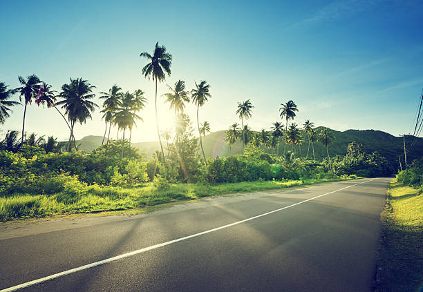 istock empty road in jungle of Seychelles islands 544808238