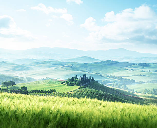 istock morning in Tuscany, Italy 544808582