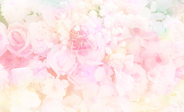istock Haft Gerbera flower on green nature background 544810538