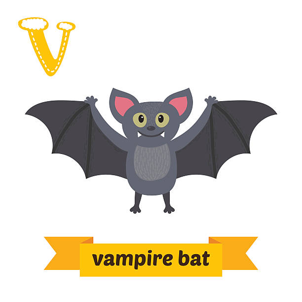 nietoperz wampir. v piśmie. śliczny alfabet dla dzieci ze zwierzątkami w wektor. - bat cartoon halloween wing stock illustrations