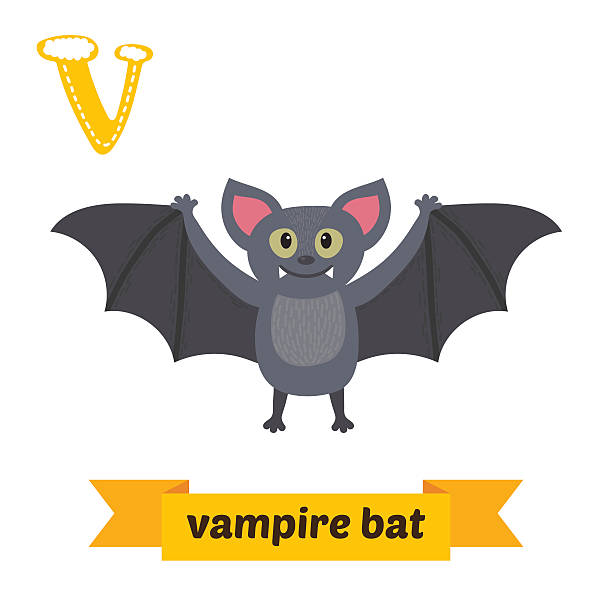 ilustrações de stock, clip art, desenhos animados e ícones de morcego-vampiro. letra v. crianças bonitas alfabeto animal em vetor. - bat cartoon halloween wing