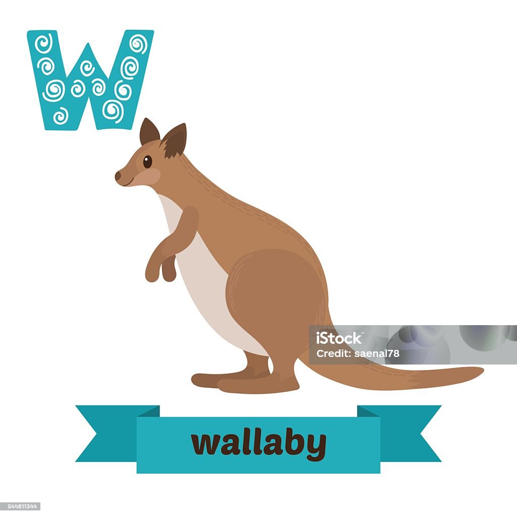 Wallaby. W letter. Cute children animal alphabet in vector. Fun Wallaby. W letter. Cute children animal alphabet in vector. Funny cartoon animals. Vector illustration Wallaby stock vector