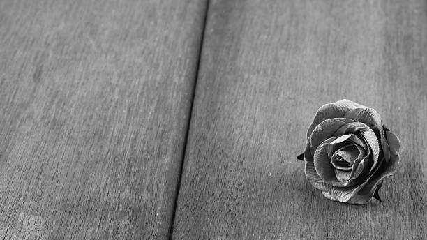 istock black and white roses  On the old wooden 544813170