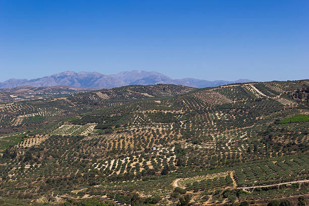 istock The hills on the Crete 544814398