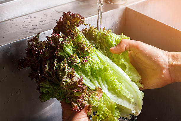istock Man's hands washing lettuce leaves. 544815722