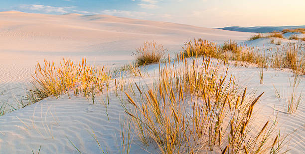 istock beautiful view of the coastal dunes 544815978