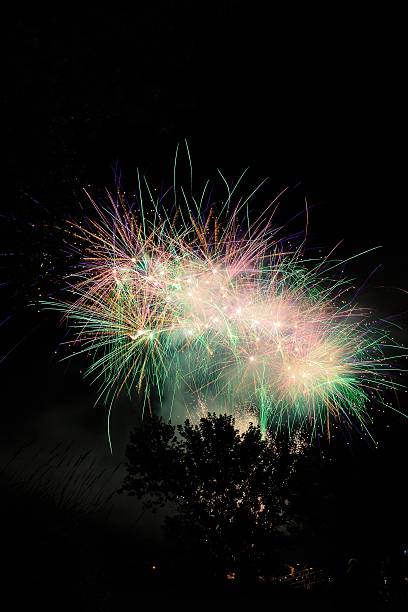 istock Fireworks in park with trees at Waterford NY 544817014