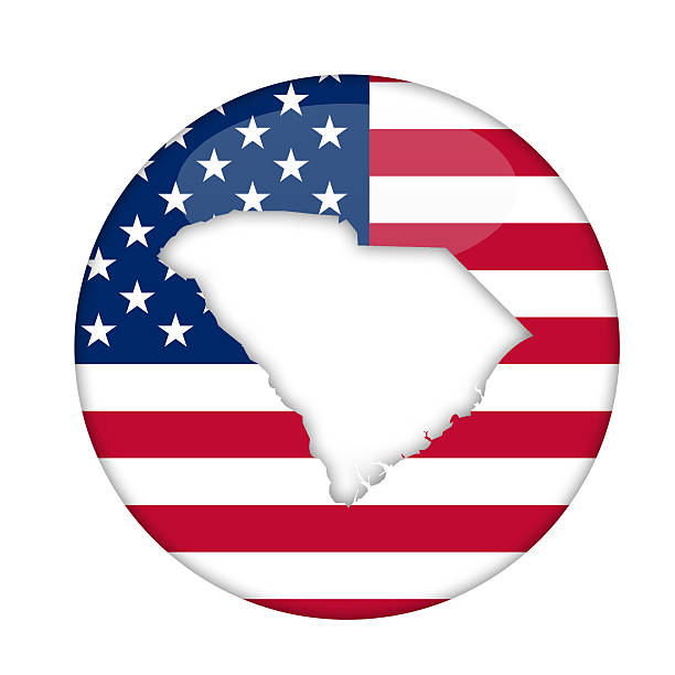 значок штата северная каролина америки - south carolina flag interface icons symbol stock illustrations