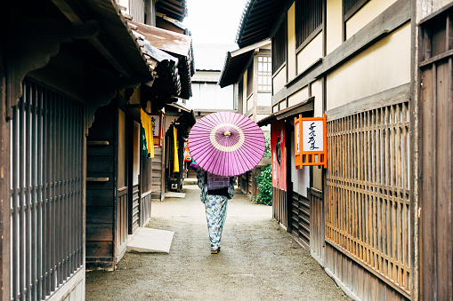 Japanese Woman In Traditional Clothes Walking in Kyoto