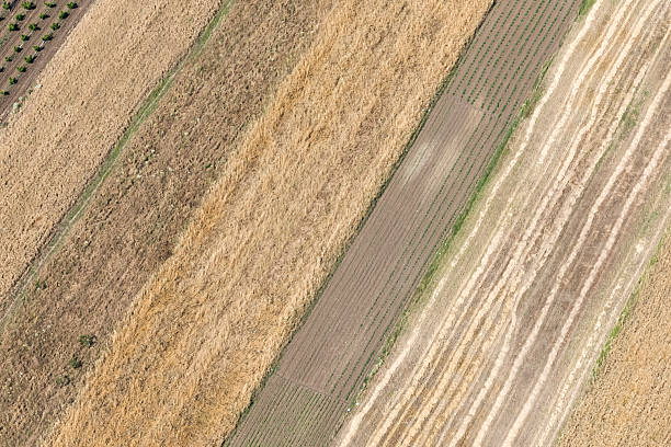 istock Aerial view of field 544819446