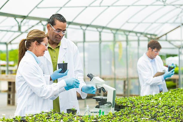 bio experiment in laboratory