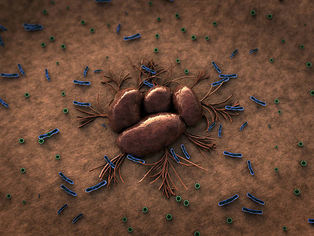 fungo e bactérias - pathogen streptococcus life science - fotografias e filmes do acervo