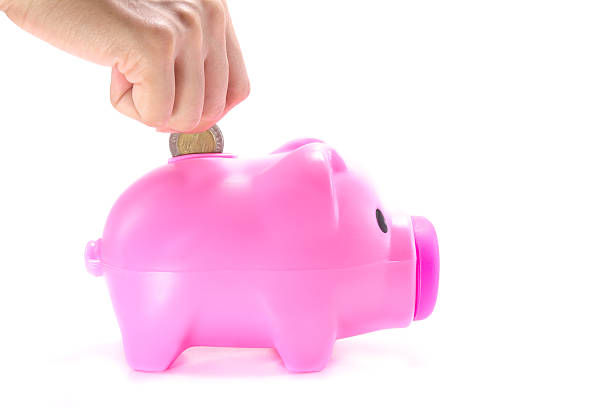 istock Piggy Bank 544958368