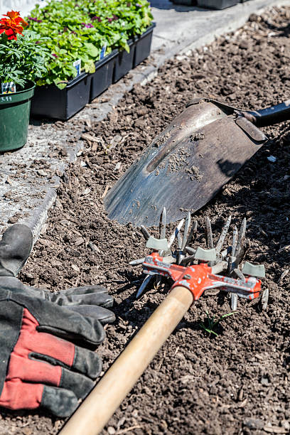 istock Planting Flowers With Summer Gardening Tools 544960140