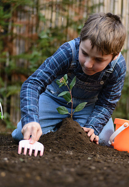 istock Planting a Tree to Improve the Climate Change 544960500