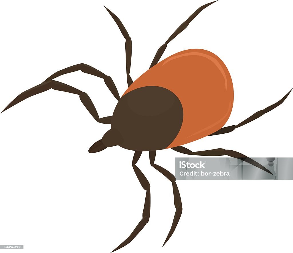 Vector illustration of brown tick Vector illustration of brown cartoon parasite tick Clip Art stock vector