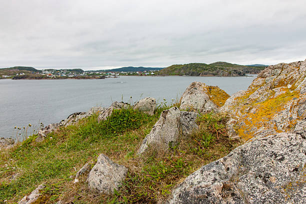 istock View of Newfoundland village from hilltop 544963994