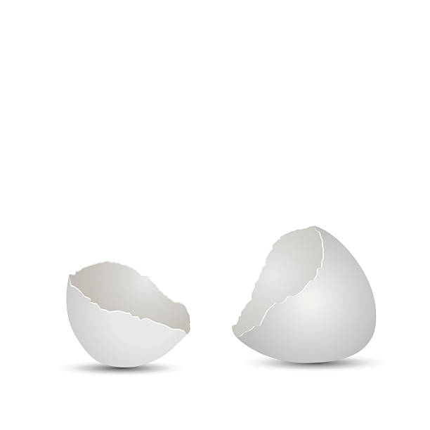 ilustrações de stock, clip art, desenhos animados e ícones de rachado ovos - eggs cracked opening fragile