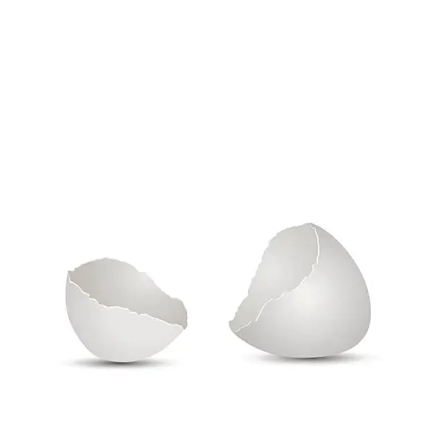 Vector illustration of Cracked egg