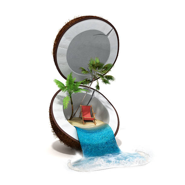 istock tropical island in coconut Travell concept 3d render 544966262