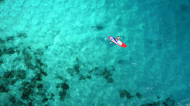 Aerial view of woman on paddleboard Aerial view of a woman on paddleboard in tropical water, Lovango Cay, United States Virgin Islands water sport stock pictures, royalty-free photos & images