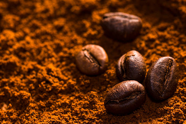 istock coffee beans on coffee powder 544970158