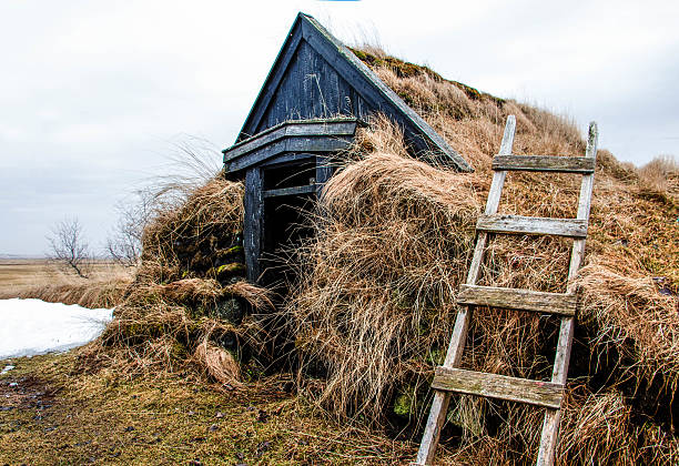 Selfoss, Iceland - March 16, 2016: thatched roof repair