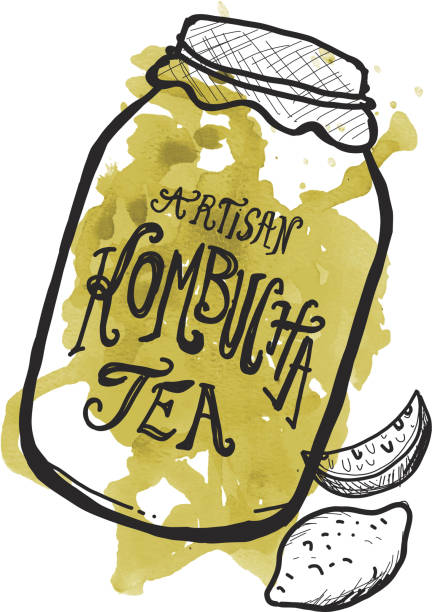 Artisan Kombucha Tea label hand lettering design Vector illustration of a Artisan Kombucha Tea label hand lettering design jar with lemons on watercolor. kombucha jar stock illustrations