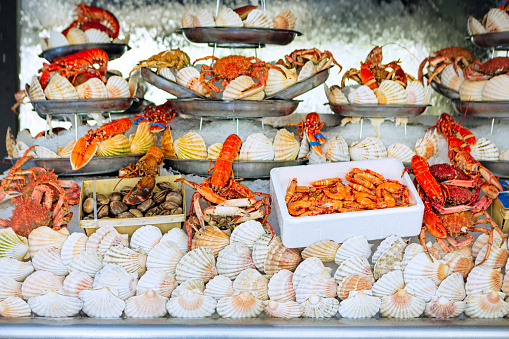 Open fish market. shells, lobsters, mussels, shrimps,