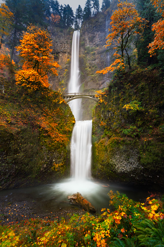 This is a slow shutter shot of Multnomah Falls in Autumn colors.