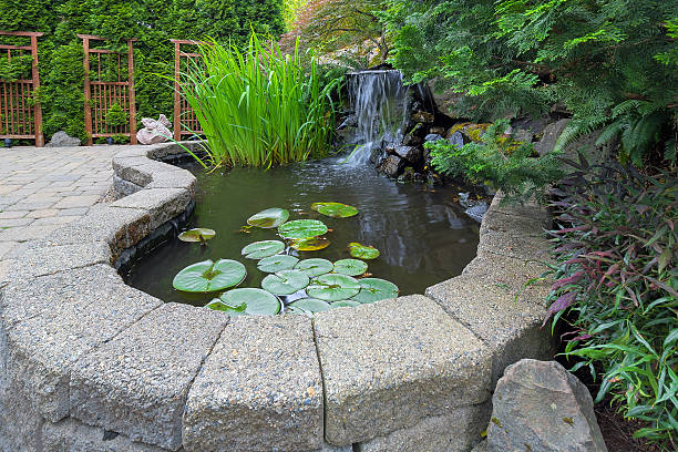 Garden Backyard Pond with Waterfall Garden Backyard pond with waterfall water plants brick paver patio trellis landscaping chamaecyparis stock pictures, royalty-free photos & images