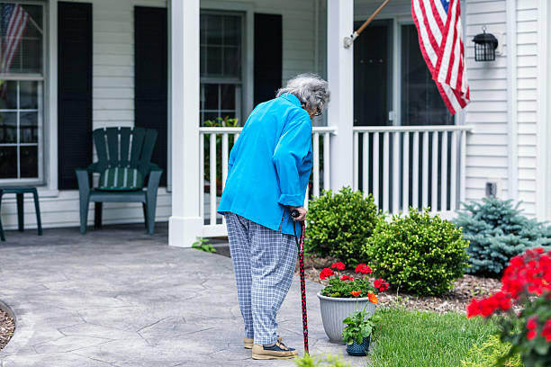 anziani patriottica donna con canna guardando giù fiori di geranio - women large build gardening outdoors foto e immagini stock