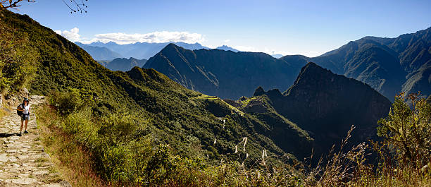 Machu Picchu, Peru. Andes terraces and ancient structures stand on a mountain ridge at Machu Picchu surrounded by steep green slopes historical Inca architecture tourist sight in Peru
