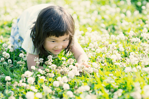 Curly little girl with a red bow in her hair. Girl on green meadow among yellow flowers