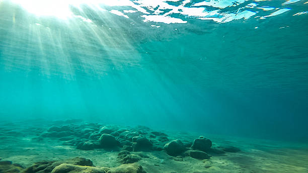 istock Underwater photograph early morning 544979118