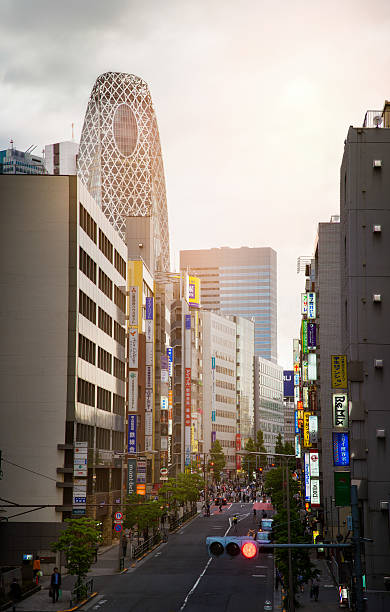 istock Tokyo Japan Meiji Dori at sunset dramatic sky panorama 544984742