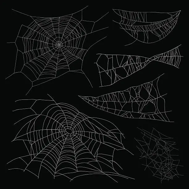 Vector illustration of Set of different spiderwebs