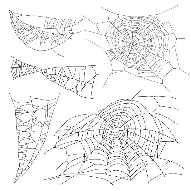 Vector illustration of Set of different spiderwebs