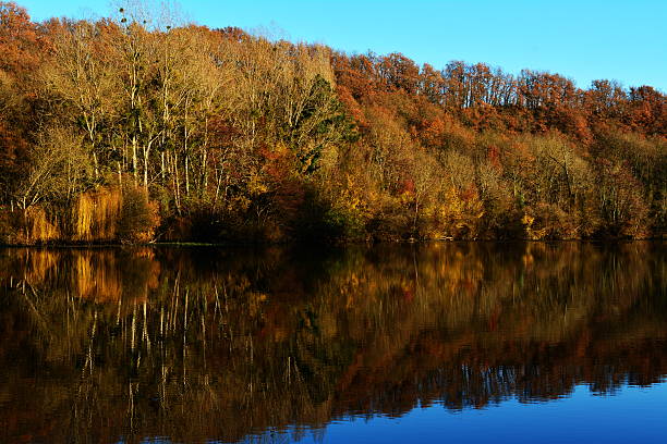istock autumn landscape with trees on lake or river 544988784